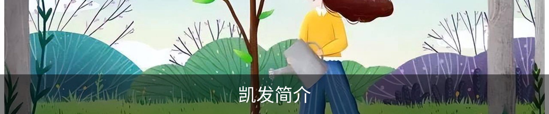 凯发简介